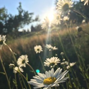 Meet your Posher, Ellie